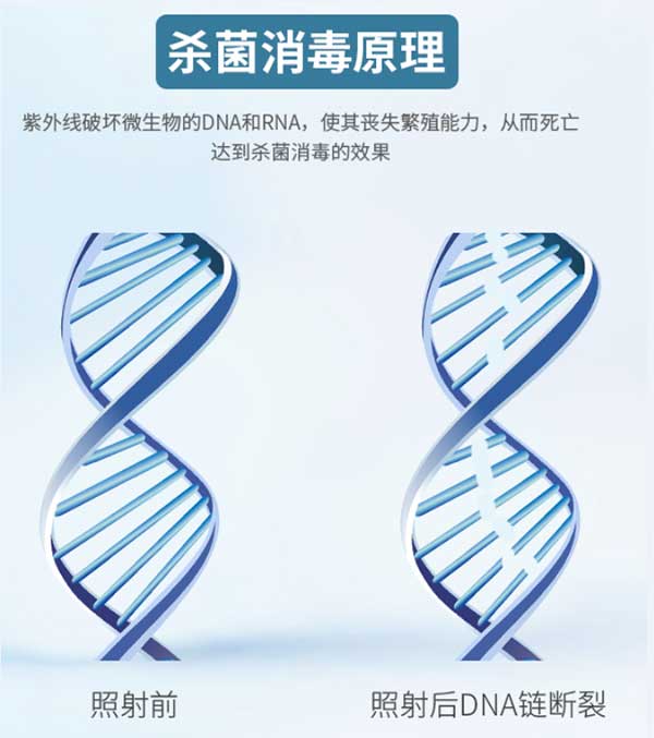 1599656909796691.jpg 11.jpg