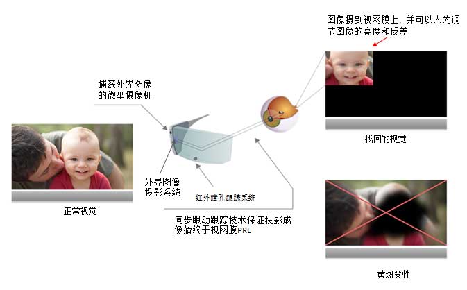 1599829669792355.jpg 22.jpg